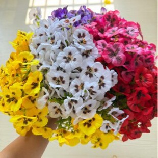 ���R�dtemu�������ٻ��Gֲ�Ҿ�ͥԺ�T�^���Ե��@�b���ɫ���β�
