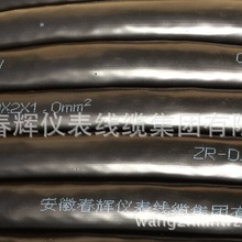 ��������ȼ�͸ߜ�Ӌ��C��|ZR-DJFPVP  ZR-DJF46P2F46P2