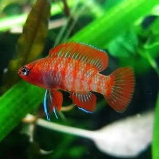 �Ꭷ�~ȫ������׃ɫ�~��ˮ�~С���~�����~�ݸ��~�ɻ��B�^�p�~���w