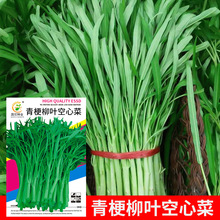 lˈ@߲˷N๣~Ĳ10̨ԺӲяSҹ