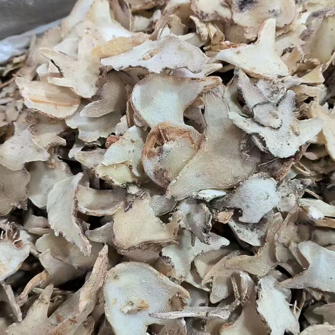 Bai Ji Powder 白芨粉 Dried Bletilla Rhizome Powder Yunnan Herbal Powder 500g key features
