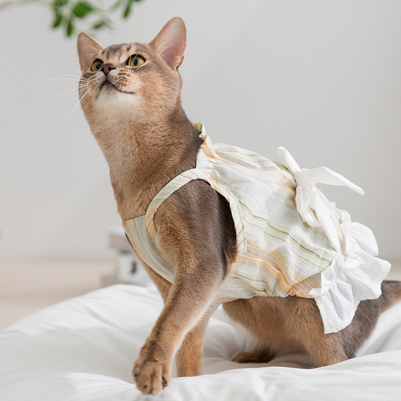 Gato primavera y verano rayas damas arco esbelta falda perro pequeño y mediano peluche falda perro mascota ropa de gato