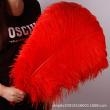 优质红色鸵鸟毛15-75cm舞台演出婚庆路引桌花摆件装饰鸵鸟羽毛