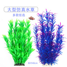 ˮ�����~���쾰ֲ�����x���b�Ʒ����ˮ������ֲ��߶�40����