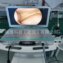 yʽȸQRzCǺȸQRzһwCǃRϵyl