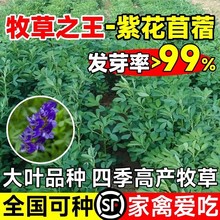 ϻޣݷNѶݷNļBֳιţuZ~ݷN