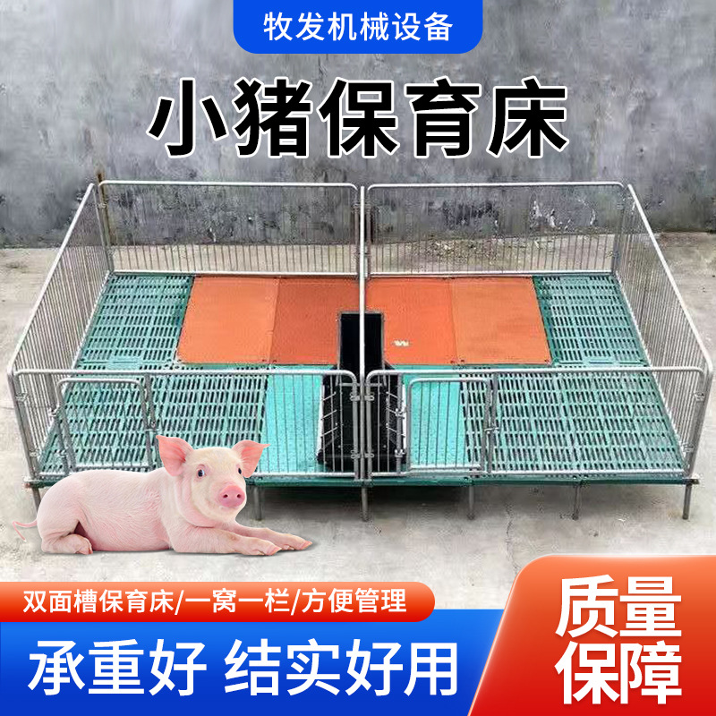 小猪保育栏 复合漏粪保育床双面槽保育床2.2米厂家现货批发保育床