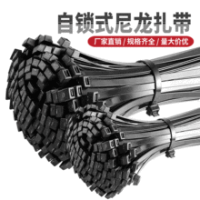 尼龙扎带中标4*100小扎带5x100mm塑料8*600大扎带捆扎自锁固定器