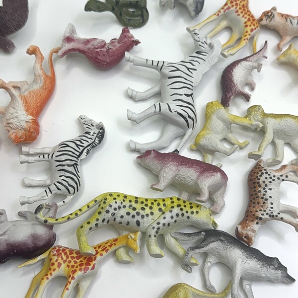 animal model