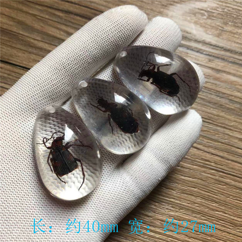 儿童挖掘考古昆虫标本 合成树脂琥珀昆虫 散装水滴盲盒标本现货|undefined