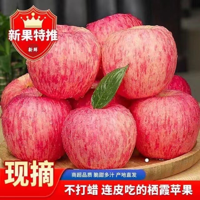 Authentic Yantai Qixia Red Fuji Apples, Crisp, Sweet and Juicy, Fresh Seasonal Fruits, Whole Box, Free Shipping, Wholesale and Dropshipping· Authentic Yantai Qixia Red Fuji Apples, Crisp, Sweet and Juicy, Fresh Seasonal Fruits, Whole Box, Free Shipping, Wholesale and Dropshipping·