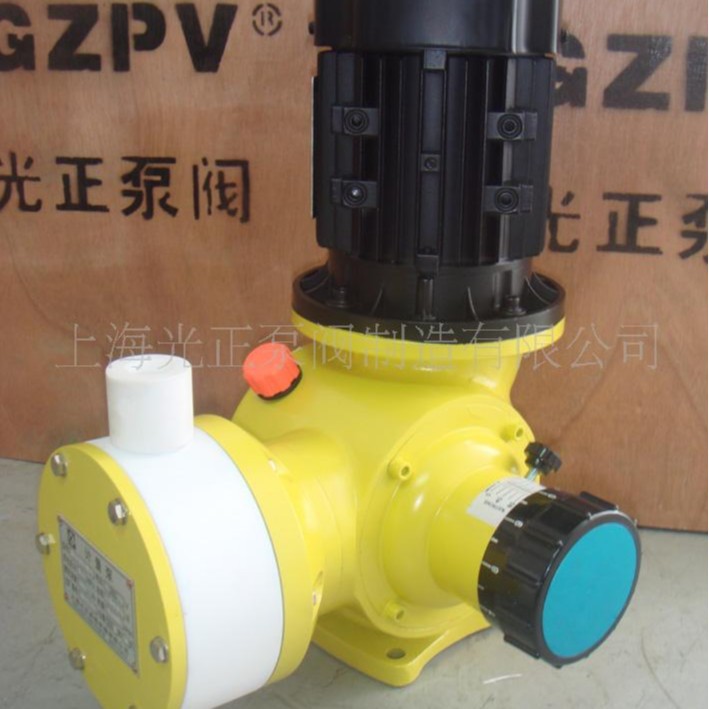 厂家供应光正牌GM四氟计量泵定量电动立式加药泵精密隔膜式计量泵