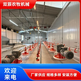厂家供应养鸡料线 平养散养养鸭料线全自动喂料喂水料线 水线料线