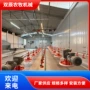 自动散养喂料养鸡线