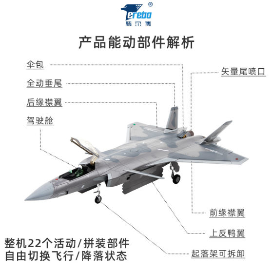 Terbo 1:48 J -20 Simulation Alloy Fighter j20 Stealth Aircraft Model Military Finished Air Show Commemoration