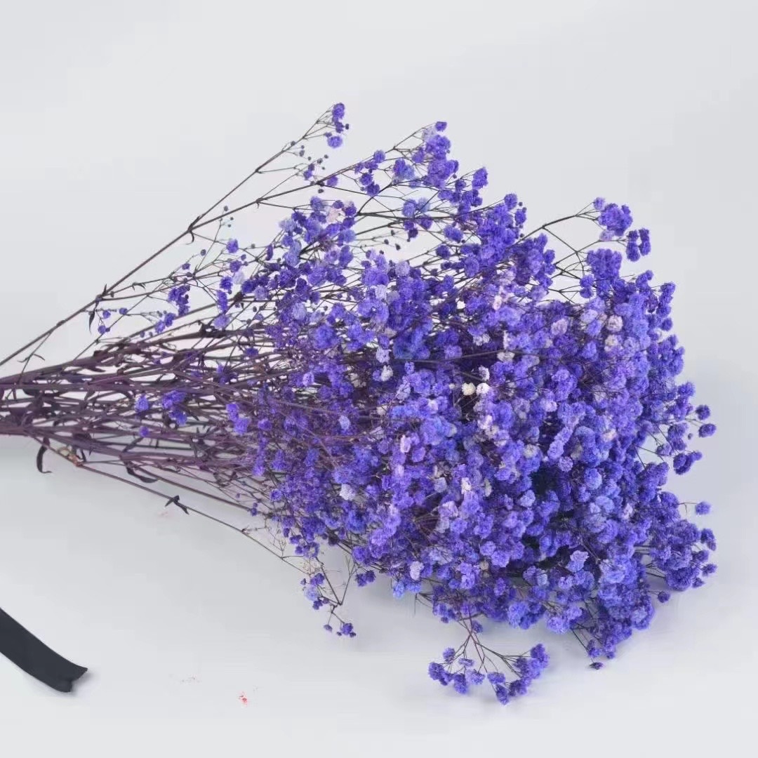 빨간색과 보라색(450g)±30g