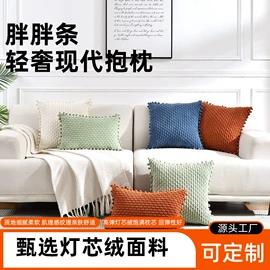 靠垫/抱枕;抱枕套;挂毯/壁毯