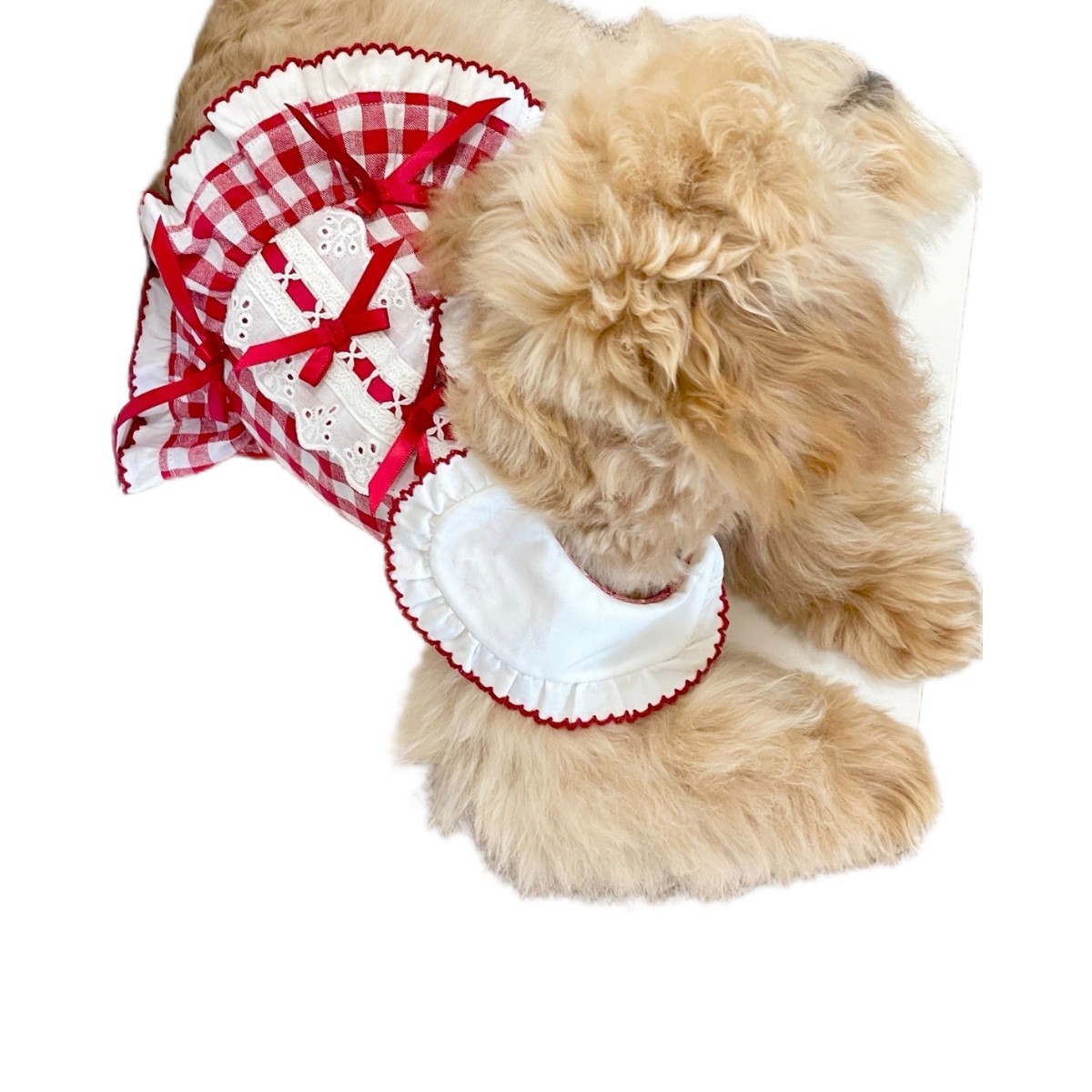 Dog And Cat Spring, Summer, Autumn Thin Plaid Dress, Small Dog Clothing, Bichon Vintage Shirt Dress_voghion.com