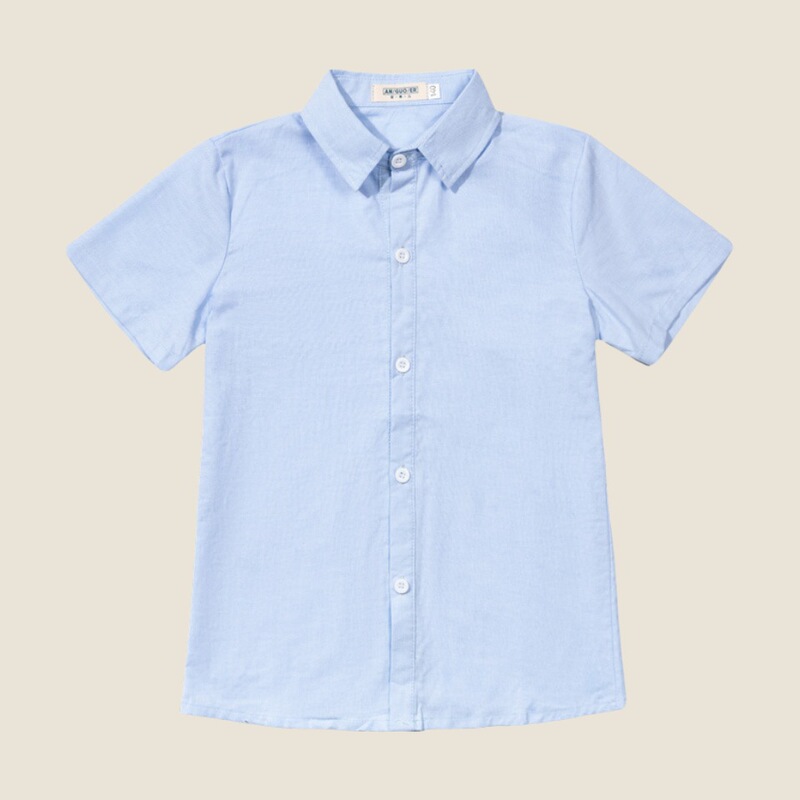 Reprehenderit qui in ea