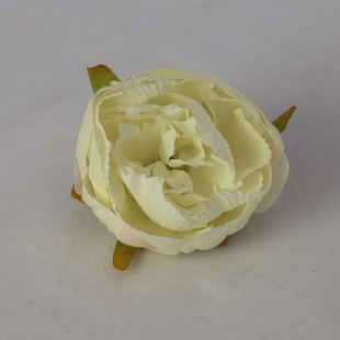 ���滨����õ��ĵ������ٻ����^�F���b廨��ˇ��Ʒ���滨�^