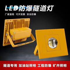 LED防爆灯トンネルライト36V220防空洞地下鉄管廊エンジニアリング照明器具専用防爆強光