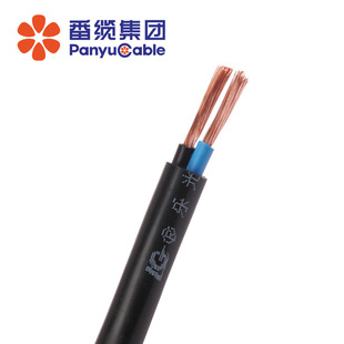 RVV 2*4ƽ�� ��خ��| �S�����l ������ϩ�^��ܛ�o�׾� �����|