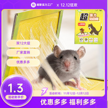 捕鼠神器粘鼠板家用老鼠笼沾胶夹药抓捉大老鼠贴强力粘鼠板包邮