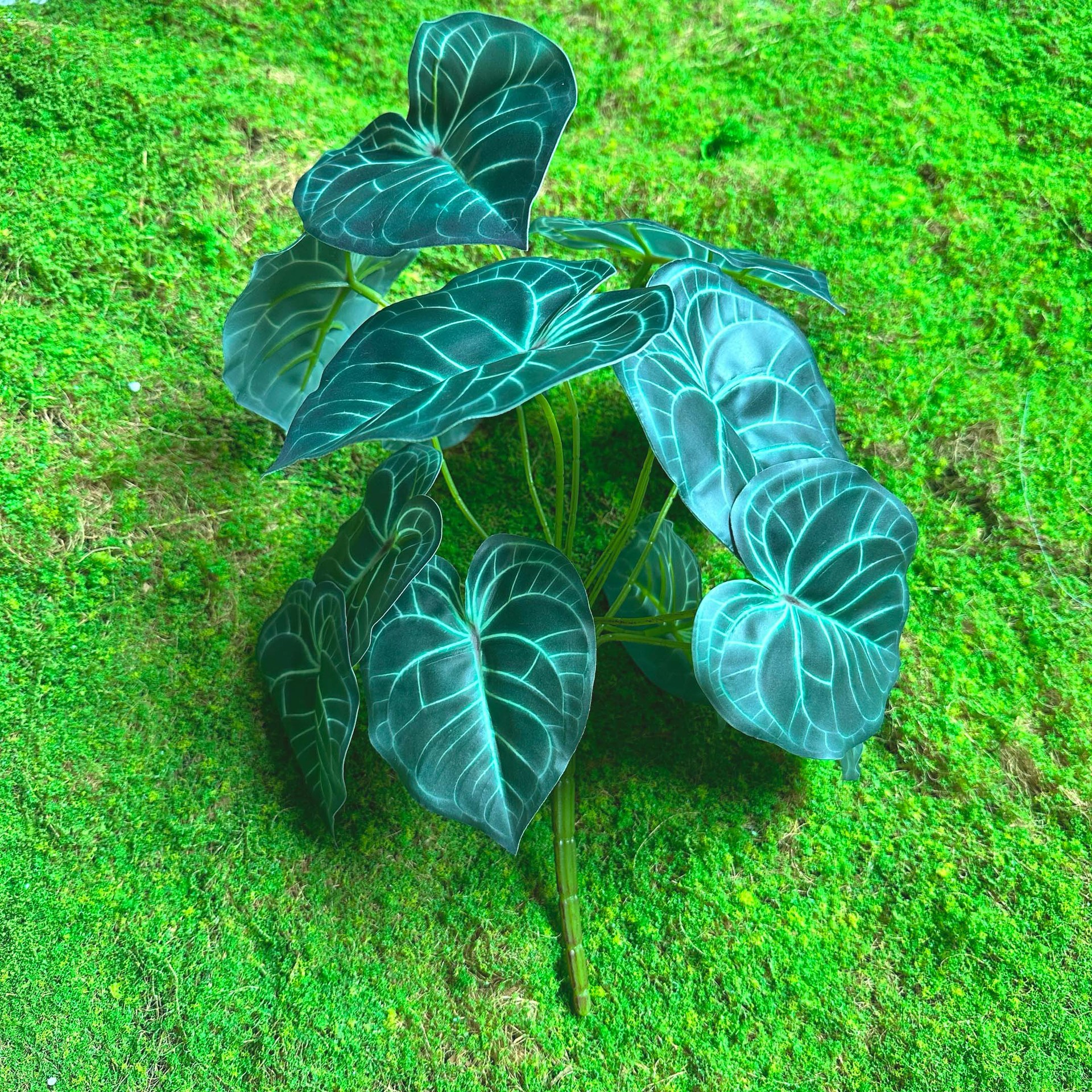 Fairy Cave tortuga hoja sentir arreglo floral hoja material planta esquina ventana belleza paisaje decoración artificial planta verde mango haz