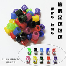 鸽子用品用具鸽子环卡环环套信鸽足环套脚环包环识别环仿真电子环