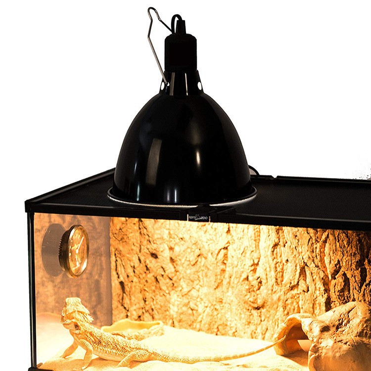 O1CN01YUZs5y24hKKidIOU3_!!2209