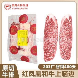 ���޼t�P�˺�ţ���X߅������������ԭ��ţ�����Ϳ�������ѩ��ţ��
