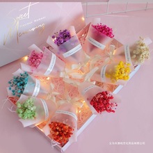 ����С�ɻ�������������ins�Y�����նY���Ӿ������b����һ��