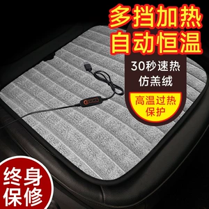 Winter Car Seat Cushion Single-Piece Driver's Seat Heated and Warm Car Seat Cushion In-Car Square Cushion Cross-Border Manufacturer Dropshipping