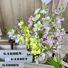 3��15�^�ѽ�z������滨��c�����쾰���ò廨�ҾӾƵ��b�