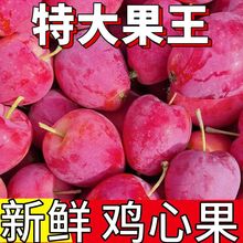 净重发货特大果大号鸡心果海棠果沙果锦绣海棠冰糖心小苹果新鲜摘