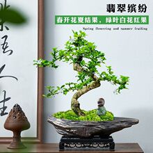 �Ϙ��������������������辰�҃��k���ҿ͏d�����[���_��������B