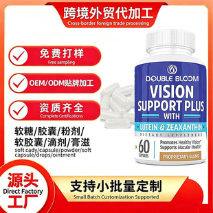 ���^�羳�Y�|ȫ�RVision Support���Ѽt��Խ����Ƥ���z��oem�N��