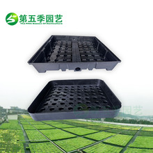 ��픾G���Nֲ��ֲ����M��ʽ����Nֲģ�K��ײݷN��