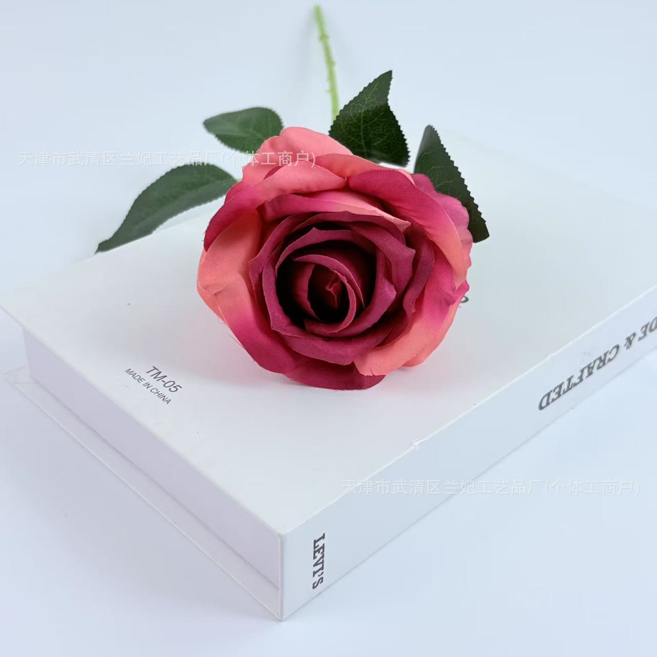 Una sola pieza de tela de seda, una pequeña rosa de crema, una rosa, una rosa, una rosa, una rosa, una rosa, una rosa, una rosa, una rosa, un arreglo floral, una boda, una pared de flores