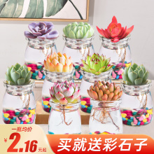 ֲˮMˮBֲ˺B׻ˮBײ