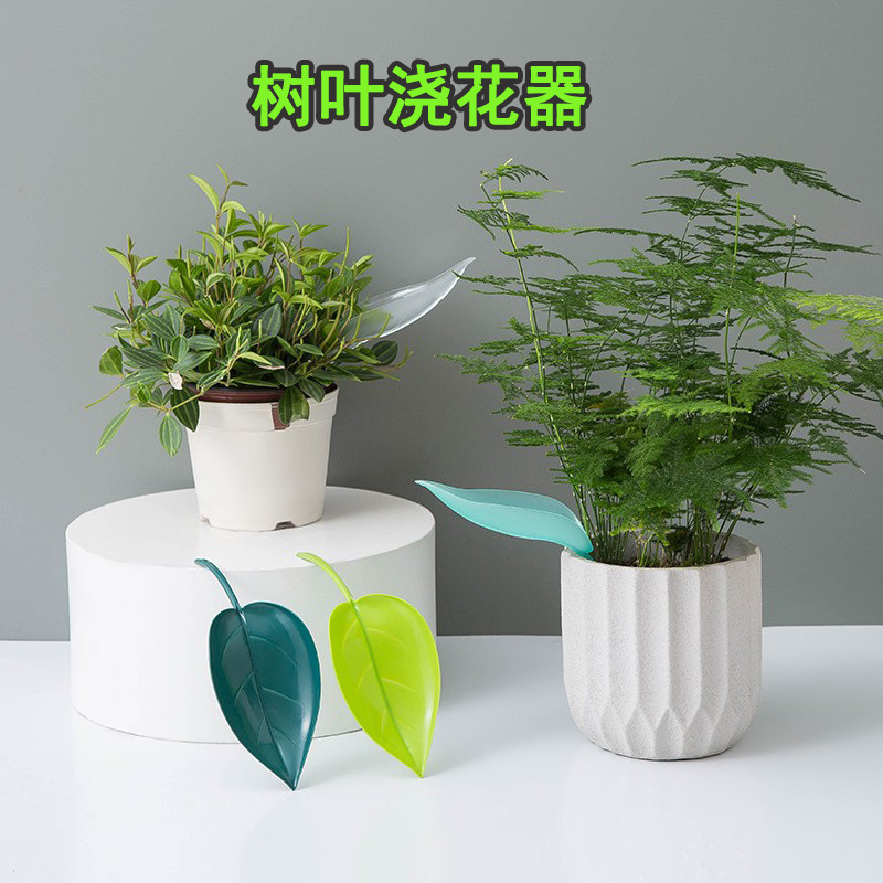 O1CN01E8YIU21EQyJv9ioF6_!!2050