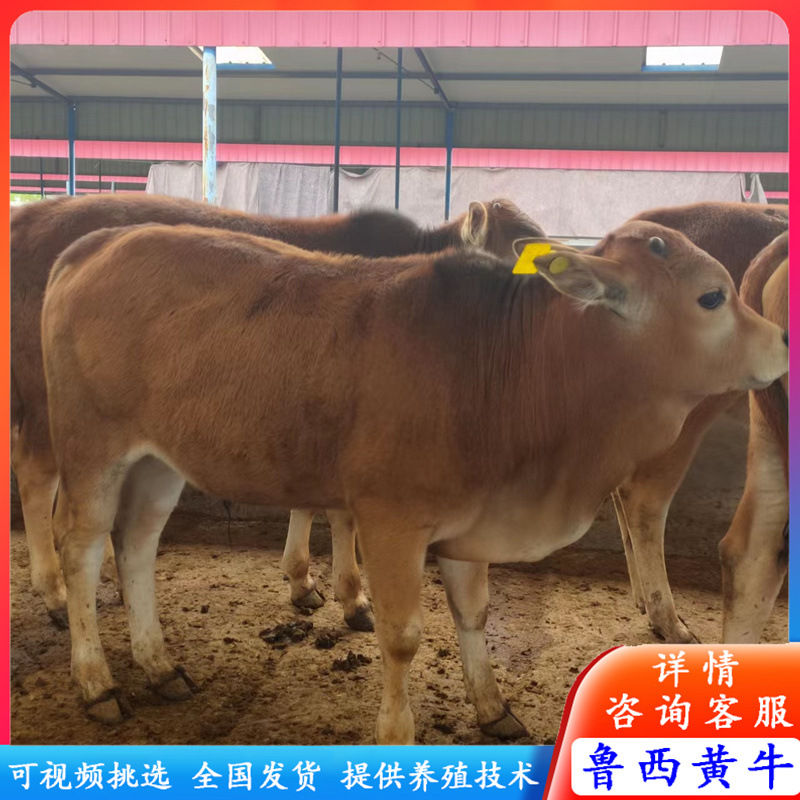 微信圖片_20220417181221.jpg