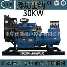 广西厂家批发30KW潍坊雷纳柴油发电机组自启动无刷发电机ZH4100D