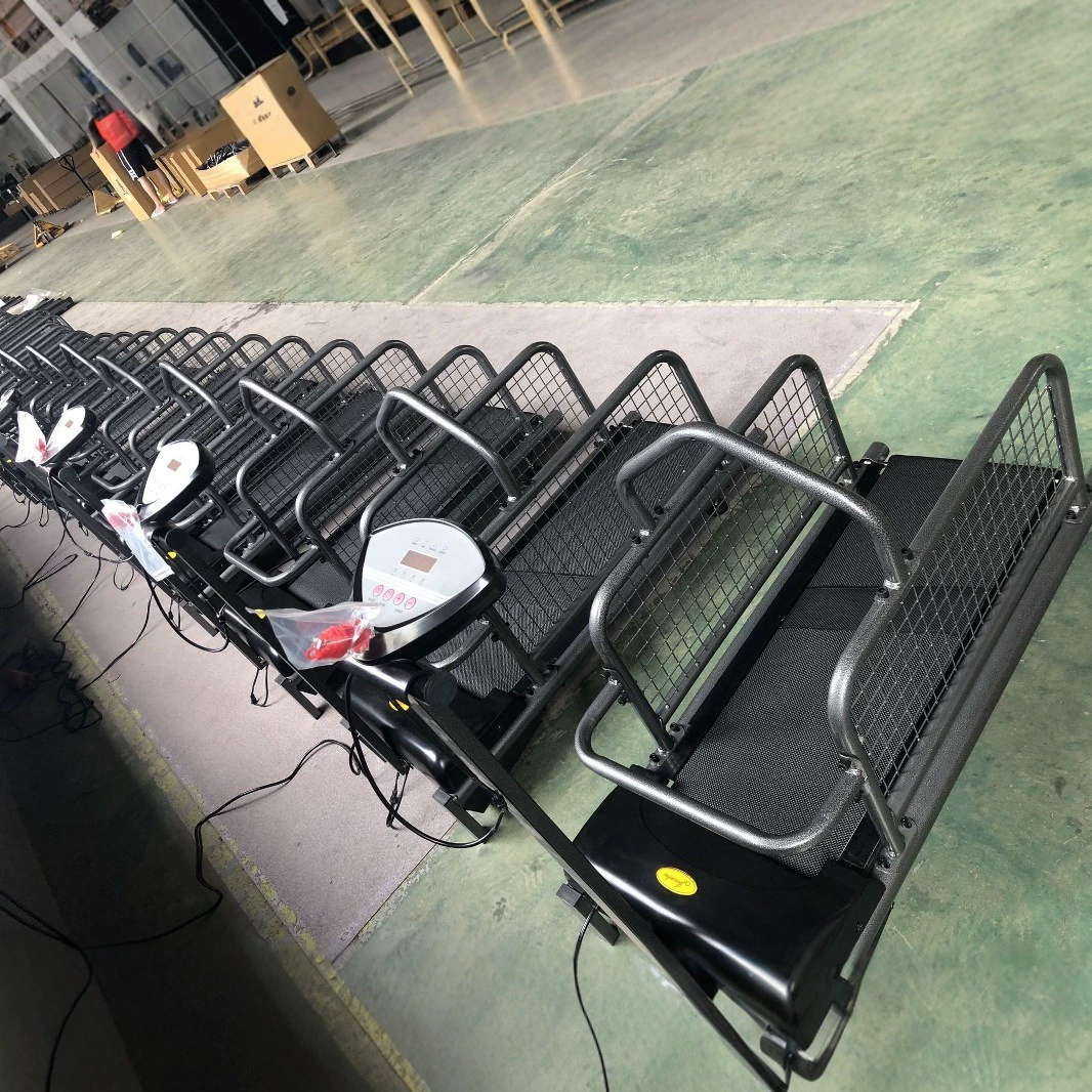 Stepper, equipment for training, pet, for running