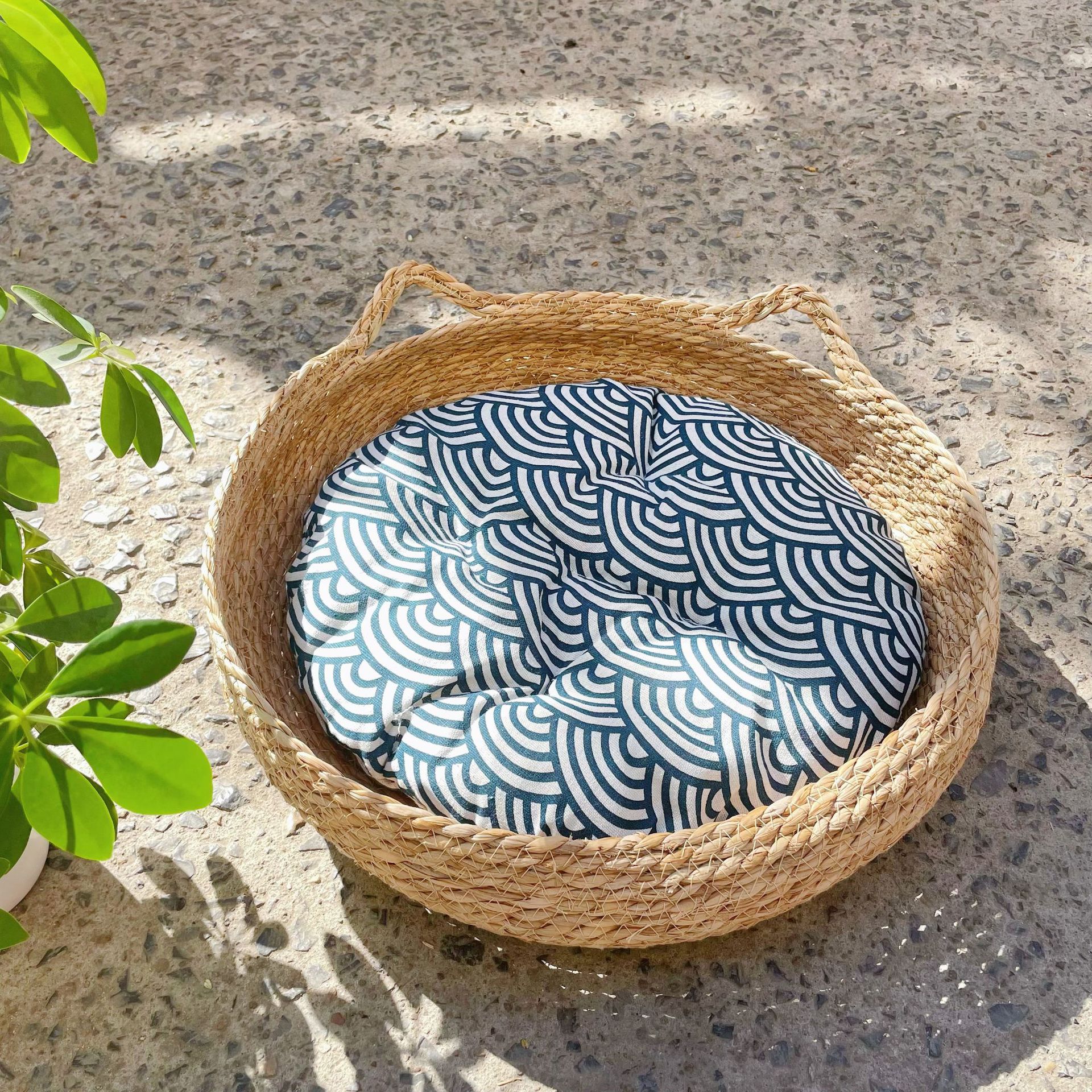 고양이 귀 둥지 + 파란색 패드