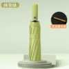 [24 Double Keel Automatic] Recommended Model-Matcha Green