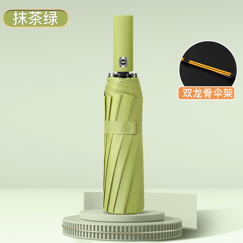 [24 Double Keel Automatic] Recommended Model-Matcha Green