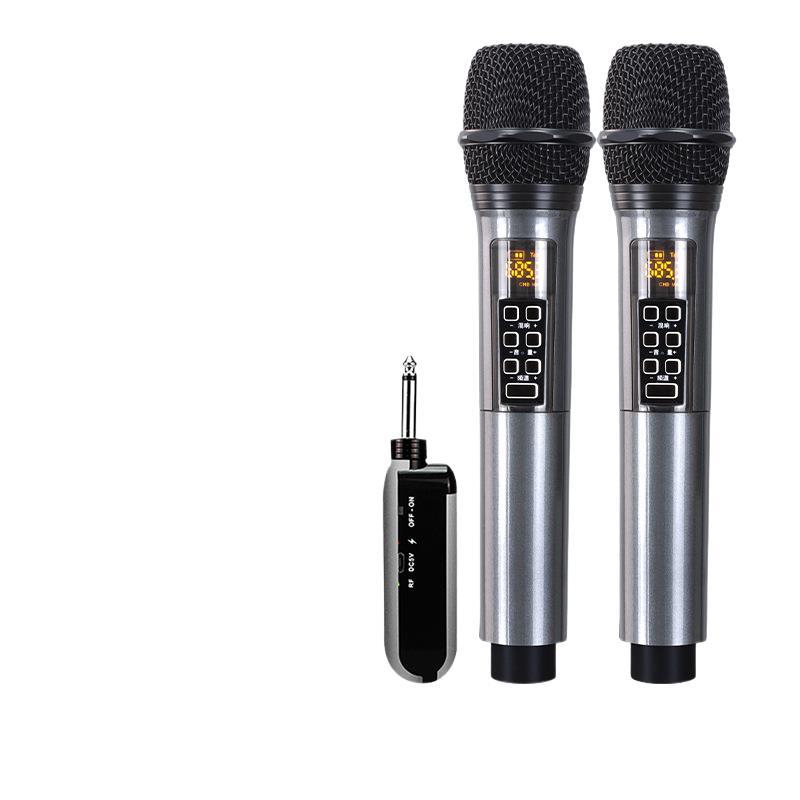 Reverb Wireless Microphone One-To-Two Outdoor Conference Stage Home Karaoke Artifact Live Broadcast Sound Card Wireless Microphone