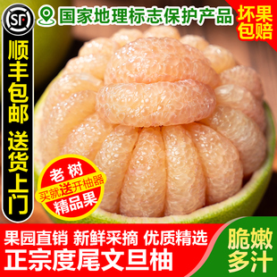 ���ڶ�β�ĵ����Ӹ����������μt�������ЋD�ЋD���rˮ�����ְ��]