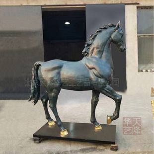 �~�R�[���_�I�YƷ�c����w�Ӽ����гɹ������S�~